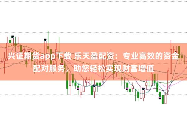兴证期货app下载 乐天盈配资：专业高效的资金配对服务，助您轻松实现财富增值