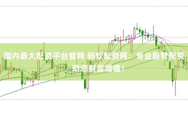 国内最大配资平台官网 蚂蚁配资网：专业股票配资，助您财富增值！
