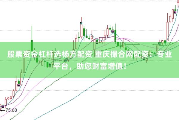 股票资金杠杆选杨方配资 重庆撮合网配资：专业平台，助您财富增值！