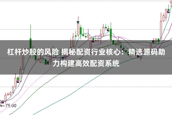 杠杆炒股的风险 揭秘配资行业核心：精选源码助力构建高效配资系统