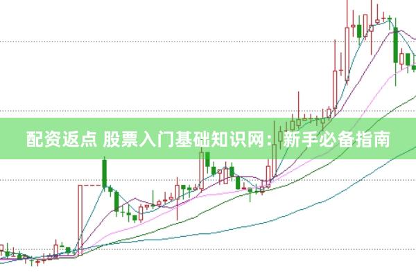 配资返点 股票入门基础知识网：新手必备指南