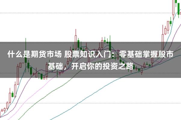 什么是期货市场 股票知识入门：零基础掌握股市基础，开启你的投资之路