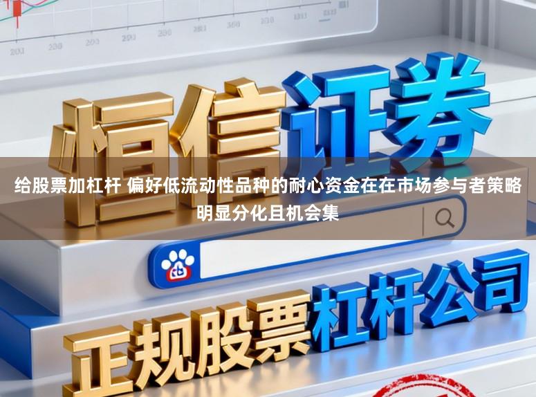 给股票加杠杆 偏好低流动性品种的耐心资金在在市场参与者策略明显分化且机会集